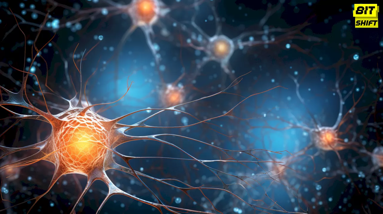 3D-Printing Neural Networks: A Step Forward in Biomedical Research 3D-Printing Neural Networks: A Step Forward in Biomedical Research