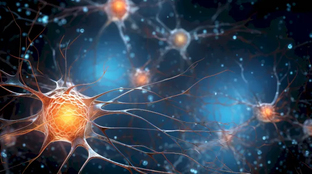 3D-Printing Neural Networks: A Step Forward in Biomedical Research