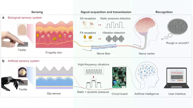 Revolutionizing Prosthetics and Robotics: A Fingerprint-like Artificial Sensor for Fine Texture Recognition